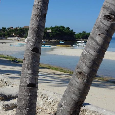 The Shark'S Tail Dive Center Daanbantayan Exterior foto
