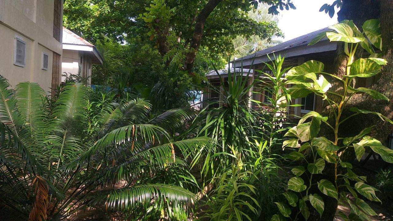 The Shark'S Tail Dive Center Daanbantayan Exterior foto