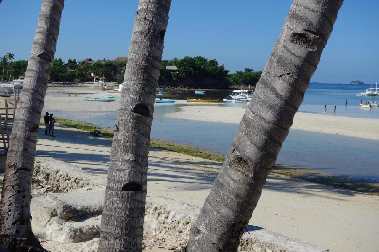 The Shark'S Tail Dive Center Daanbantayan Exterior foto