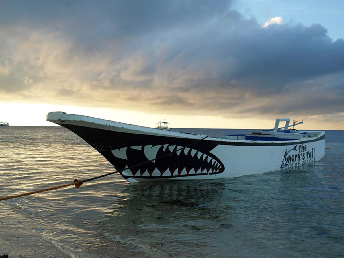 The Shark'S Tail Dive Center Daanbantayan Exterior foto