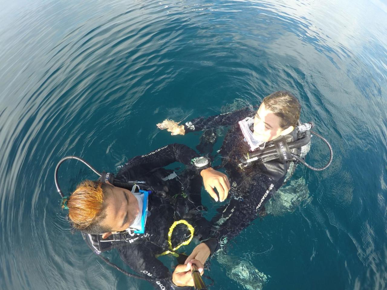 The Shark'S Tail Dive Center Daanbantayan Exterior foto